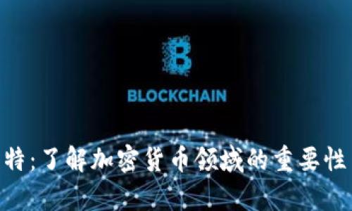 Tokenim比特:了解加密货币领域的重要性与发展前景