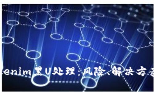 深入解析Tokenim黑U处理:风险、解决方案与未来展望