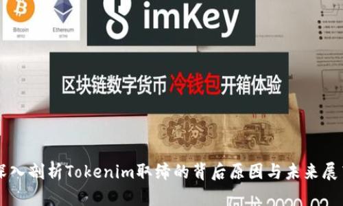 深入剖析Tokenim取缔的背后原因与未来展望