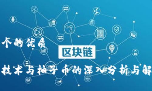 思考一个的优质
区块链技术与柚子币的深入分析与解盘方案
