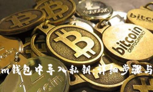 如何在Tokenim钱包中导入私钥:详细步骤与常见问题解析