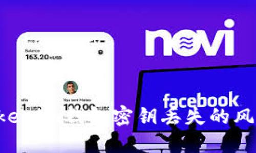 如何应对Tokenim钱包密钥丢失的风险:全面指南