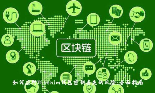 如何应对Tokenim钱包密钥丢失的风险:全面指南