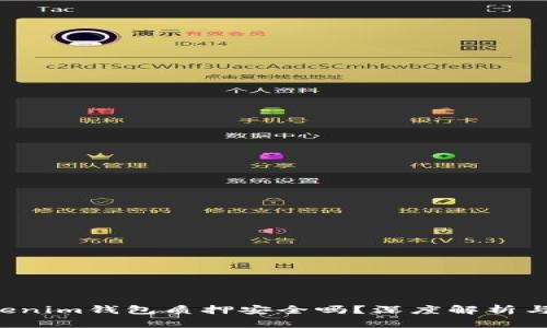 Tokentokenim钱包质押安全吗?深度解析与投资建议