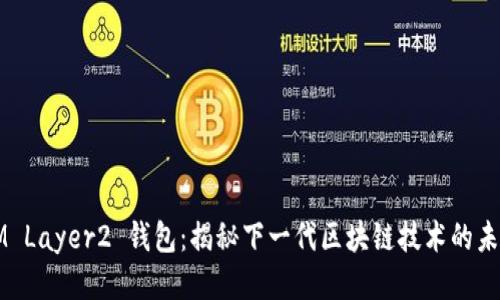 IM Layer2 钱包:揭秘下一代区块链技术的未来