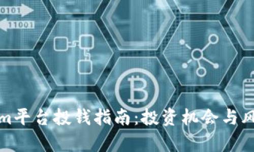 Tokenim平台投钱指南:投资机会与风险解析
