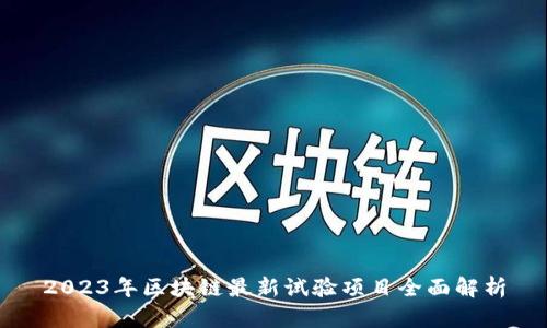 2023年区块链最新试验项目全面解析