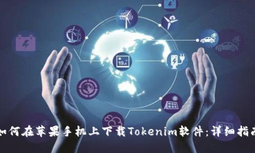 如何在苹果手机上下载Tokenim软件:详细指南