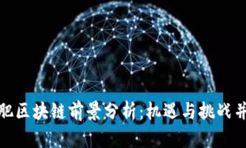 合肥区块链前景分析:机遇与挑战并存