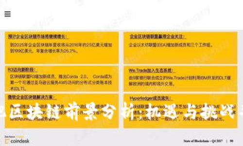 合肥区块链前景分析:机遇与挑战并存