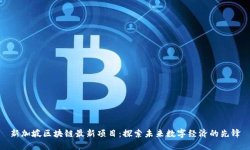 新加坡区块链最新项目:探索未来数字经济的先锋