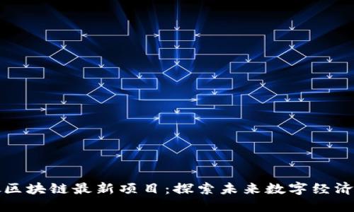 新加坡区块链最新项目:探索未来数字经济的先锋