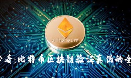 2025必看:比特币区块链验证真伪的全景解析
