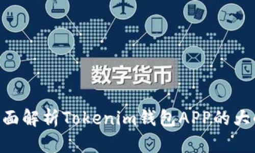 2025必看!全面解析Tokenim钱包APP的大小及使用体验