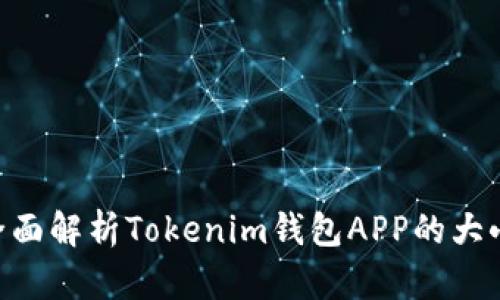2025必看!全面解析Tokenim钱包APP的大小及使用体验