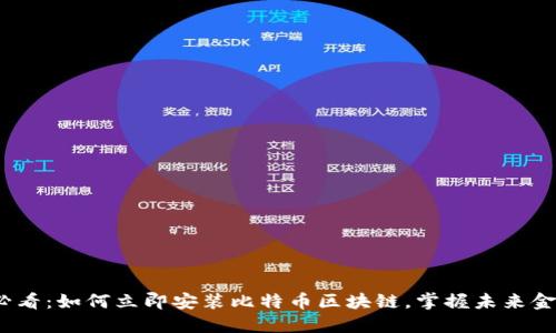 2025必看:如何立即安装比特币区块链,掌握未来金融趋势