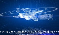 2025必看：深入解析TokenIM如何进行EOS映射