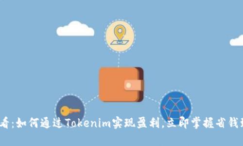 2025必看：如何通过Tokenim实现盈利，立即掌握省钱致富之路