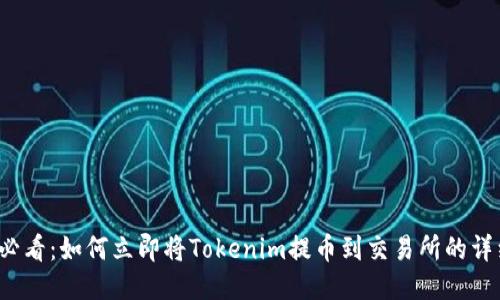 2025必看:如何立即将Tokenim提币到交易所的详细指南