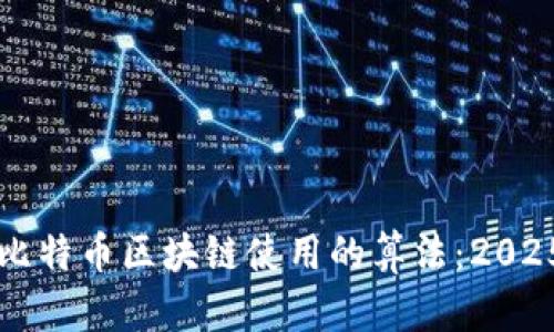 立即了解比特币区块链使用的算法:2025必看指南