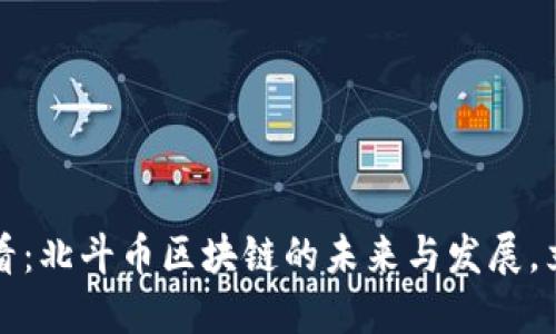 2025必看:北斗币区块链的未来与发展,立即了解!