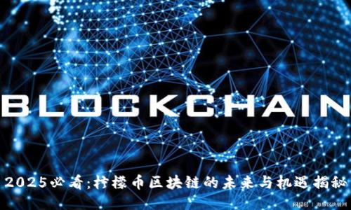 2025必看：柠檬币区块链的未来与机遇揭秘