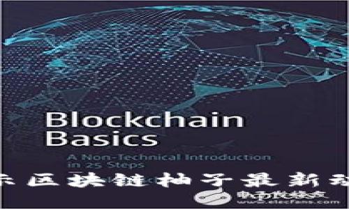 2025必看：揭示区块链柚子最新动态与未来趋势