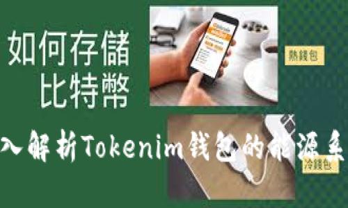 2025必看:深入解析Tokenim钱包的能源系统及其重要性