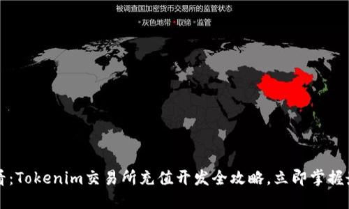2025必看:Tokenim交易所充值开发全攻略,立即掌握最新技巧!