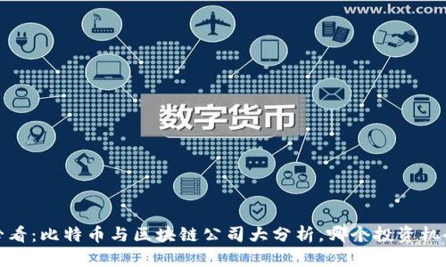 2025必看:比特币与区块链公司大分析,哪个投资机会更佳?