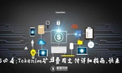 2025必看：Tokenim矿工费用支付详细指南，快来了解