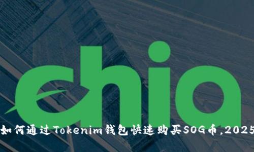 立即学习：如何通过Tokenim钱包快速购买SOG币，2025必看指南！