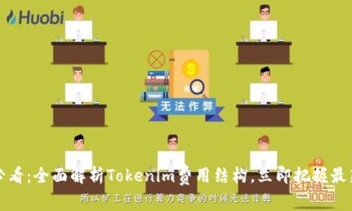 2025必看：全面解析Tokenim费用结构，立即把握最新动态！