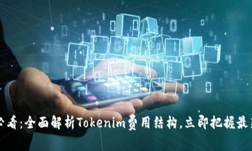 2025必看：全面解析Tokenim费用结构，立即把握最新动态！