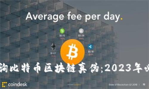 立即查询比特币区块链真伪：2023年必看指南