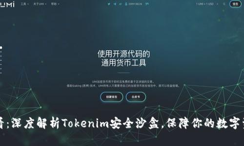 2025必看：深度解析Tokenim安全沙盒，保障你的数字资产安全！