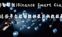 截至2023年，币安链（Binance Chain）在区块链领域的