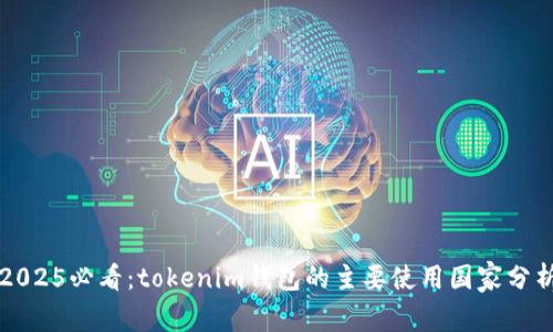 2025必看：tokenim钱包的主要使用国家分析