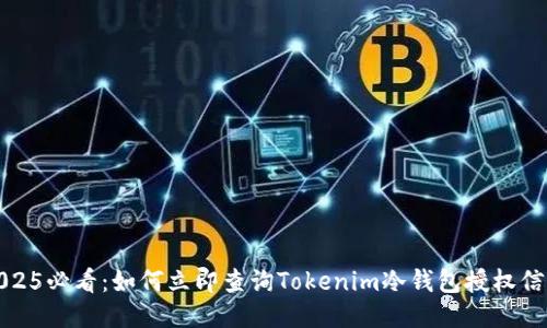 2025必看：如何立即查询Tokenim冷钱包授权信息