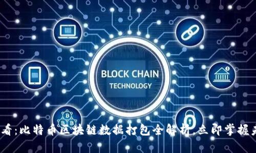 2025必看：比特币区块链数据打包全解析，立即掌握未来趋势