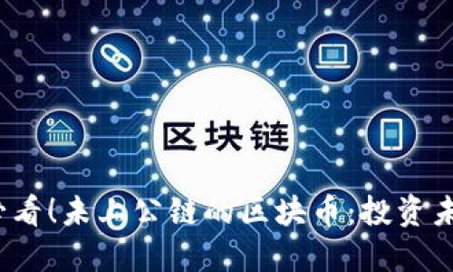 坚果2025必看！未上公链的区块币：投资未来的潜力股