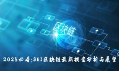 2025必看：SEI区块链最新提案分析与展望
