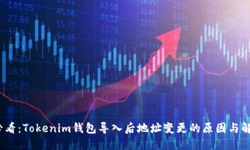2025必看：Tokenim钱包导入后地址变更的原因与解决方案
