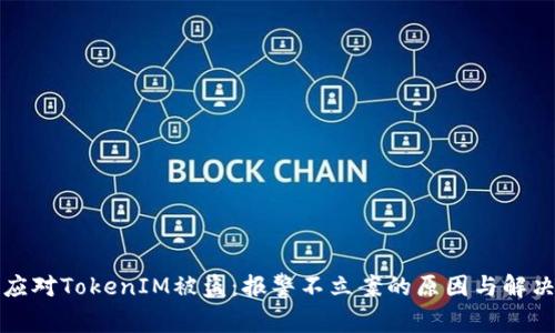 如何应对TokenIM被盗：报警不立案的原因与解决方案