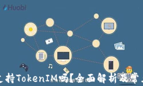 
库神钱包支持TokenIM吗？全面解析及常见问题解答