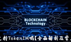 库神钱包支持TokenIM吗？全面解析及常见问题解答