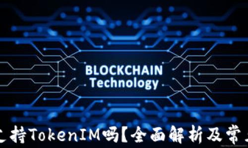 
库神钱包支持TokenIM吗？全面解析及常见问题解答