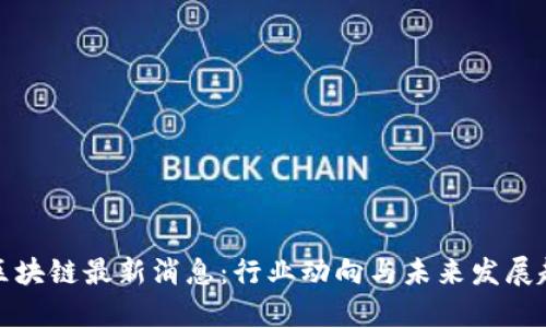 : 共谋区块链最新消息：行业动向与未来发展趋势分析