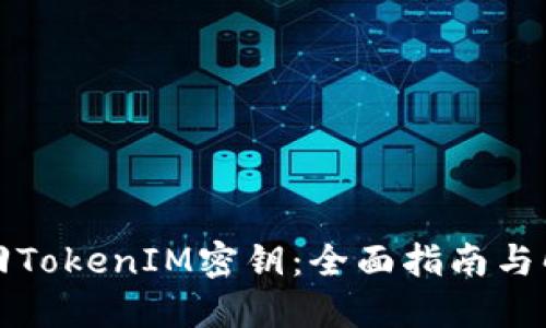 如何找回TokenIM密钥：全面指南与解决方案