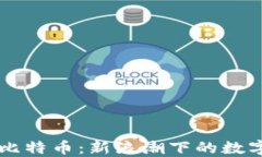 区块链与比特币：新浪潮下的数字经济未来